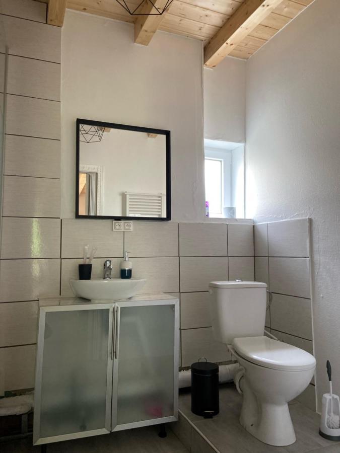 Le Chene: Petit Chalet Cosy Proche De Mulhouse Riedisheim Zewnętrze zdjęcie