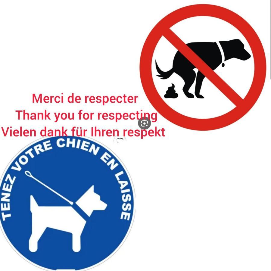 Le Chene: Petit Chalet Cosy Proche De Mulhouse Riedisheim Zewnętrze zdjęcie